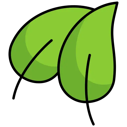leaf hoja